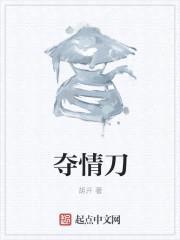 夺情刀