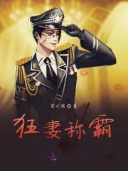 绝宠狂妻:夜少,最撩人