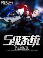 S级系统