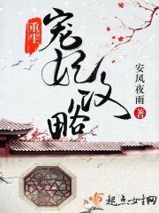 重生宠妃攻略