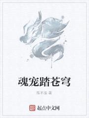 魂宠踏苍穹