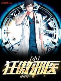 狂傲小邪医