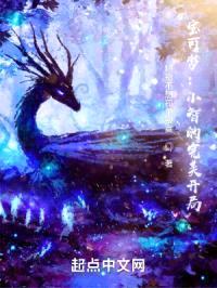 宝可梦:小智的完美开局