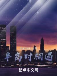 半岛时相遇