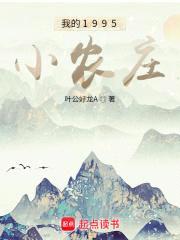 我的1995小农庄