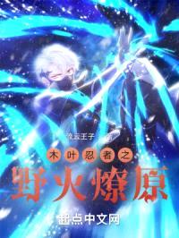 火影忍者之野火燎原