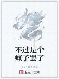 不过是个疯子罢了