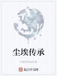 尘埃传承