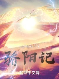 骄阳记