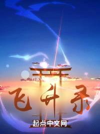飞升录