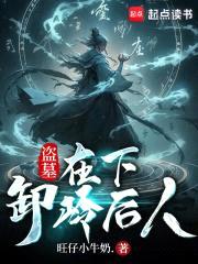 盗墓:在下,卸岭后人