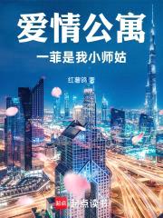 爱情公寓之南风过境
