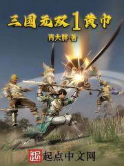 三国无双1黄巾