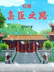 红楼:枭臣之路