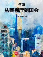 柯南:从警视厅到国会