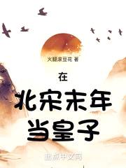 在北宋末年当皇子
