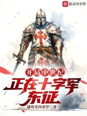 开局中世纪,正在十字军东征