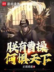 朕有曹cao，何惧天下