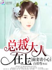 总裁大人在上:前妻请小心